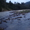 >RIO DORADAS