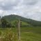 montañas de nuestros llanos