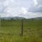 llanos de san joquin