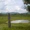 lagos de los llanos