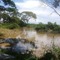 El Puerto, Rio Motatan de Los Negros