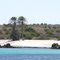 2 cocotiers sur Blanquilla