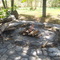 Paella en el safari