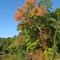 Evans Pond in Wallworth Park