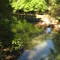 Pennypacker Park