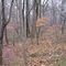 Downs Farm Green Acre Tract