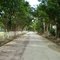 via a geoglifo de chirgua