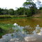 Laguna en Sabana del Medio...