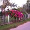 Jardin en el Safary Carabobo Country Club