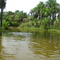 rio san pedro y morichales de mapire
