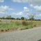 entradas de fincas en la via hacia mapire