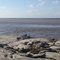 Rio Orinoco, frente a Mapire