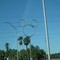 I-4 Camino a Tampa
