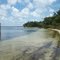 Red Fish Point Cove Saint Andrew's Bay Panama City, FL