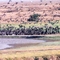 Los LLanos