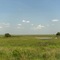 llanos apure via elorza