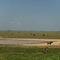 vista llanos apure via mantecal