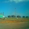 PLANTA PITASO