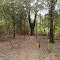 Deer Stand Tree House