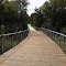 Boardwalk on the Trail