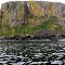 Bird Rock near Unga Island
