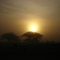 amanecer en Morichito, edo Apure