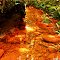Arroyo Rojo - El Paují, Venezuela