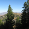 James Creek Road Idaho