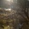 Hot creeks