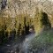 Mountains and hot moss
