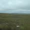 Gran Sabana 2008 III