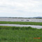 Rio La Paragua
