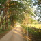 carretera hacia el rio pedraza