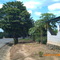 ENTRADA PEDRAZA LA VIEJA