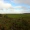 Finca