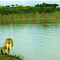 Embalse El Pueblito 1
