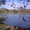 El Caney de Javier