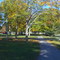 Hoopes Park, Auburn NY