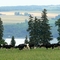 Owasco Lake Farm