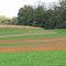 Fields in Fall