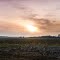 Crumstown Skyline (Variant 2)