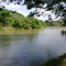 Rio Masparro, Barinas