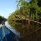 Delta de Paria