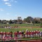 Monmouth College - Monmouth, IL