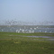 Los aves del Hato el Cedral