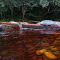 Rio Carrao, Gran Sabana, Venezuela