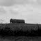 Kentucky Barn