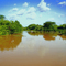 Se nos perdió el camino (Inundación)