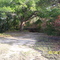 Caño San José - Paso del Ganado