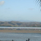 Laguna de Unare (Paraiso de las Aves)